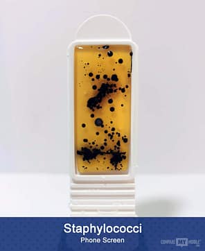 Could Your Smartwatch and Phone Be Up To Thirty Times Dirtier Than A