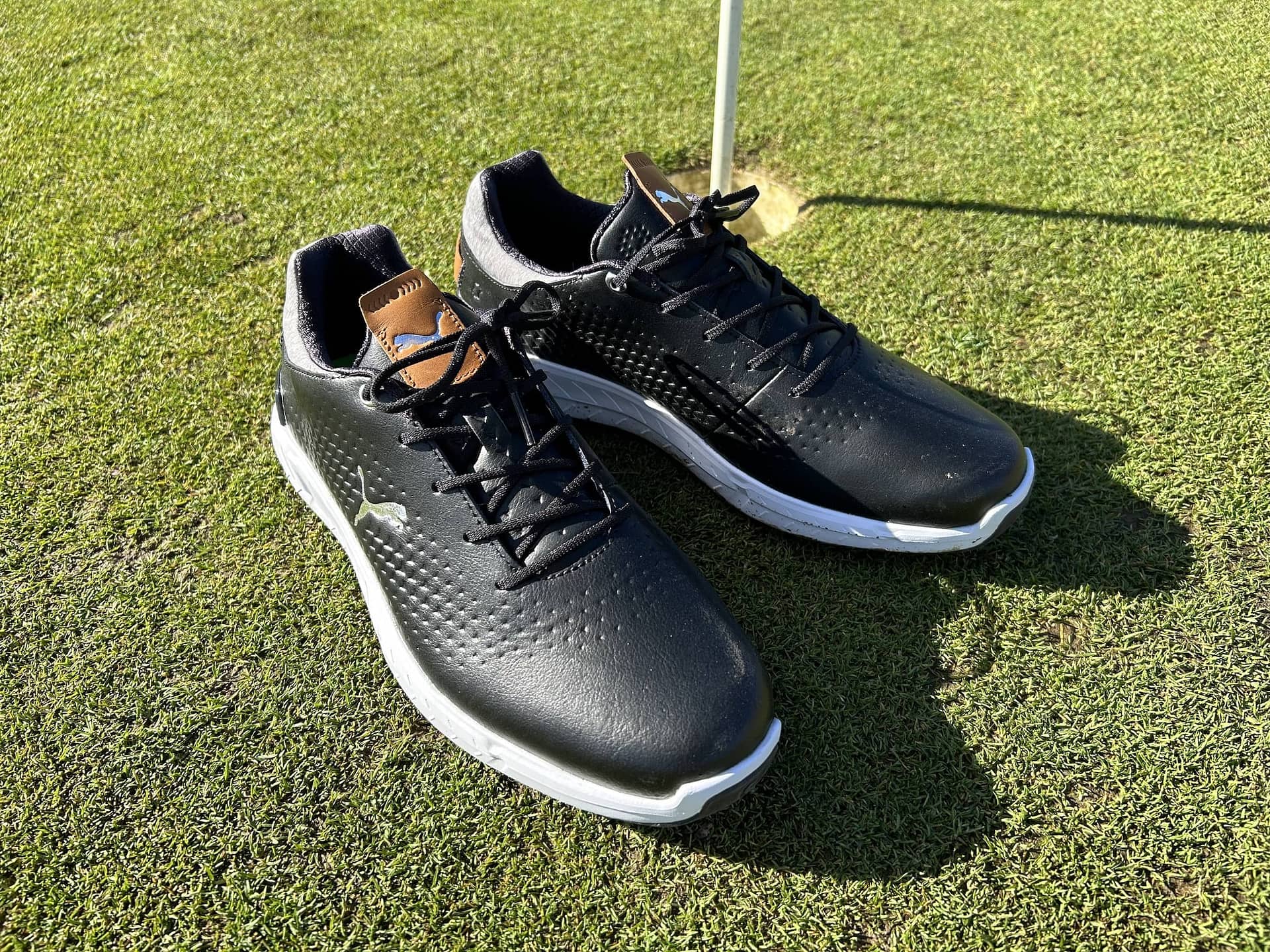 In Review: PUMA's IGNITE Articulate Leather Men's Golf Shoes - Sustain ...